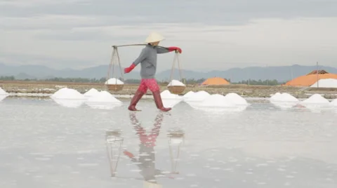 Workers Moving Back and Forth Transporting Salt Stock Footage 42418421