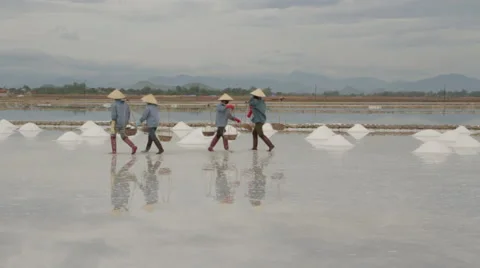 Workers Moving Back and Forth Transporting Salt Stock Footage 42424335