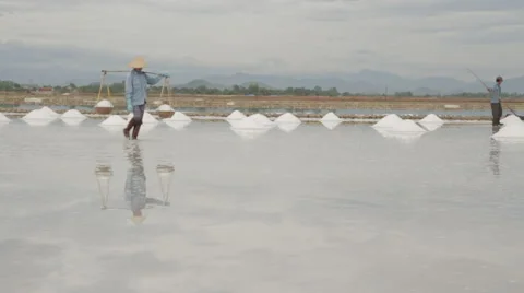 Workers Moving Back and Forth Transporting Salt Stock Footage 42448387