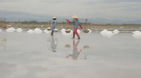 Workers Moving Back and Forth Transporting Salt 動画素材 42448985