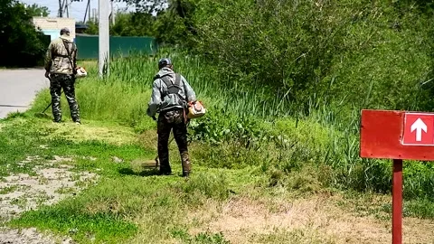 Workers mow the green grass along the road with a hand trimmer Vidéo 254338433