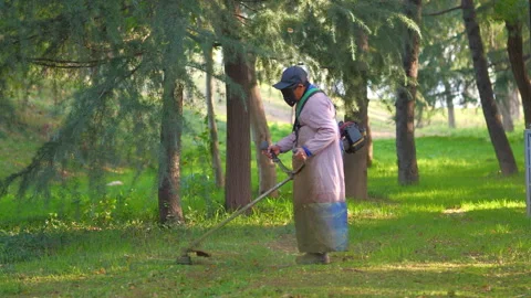 Workers mowing grass on the grass 動画素材 255714636