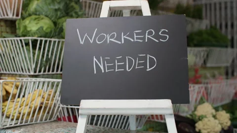 "Workers Needed" Job Opportunity Sign at Fresh Fruits &amp; Produce Shop Video stock 345838346