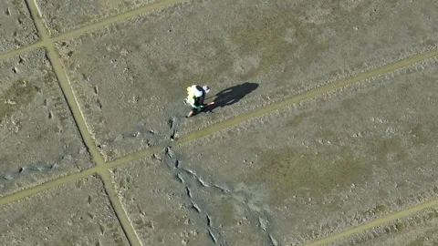 A workers operating seed-sowing machines in rice fields. Stock Footage 309848624