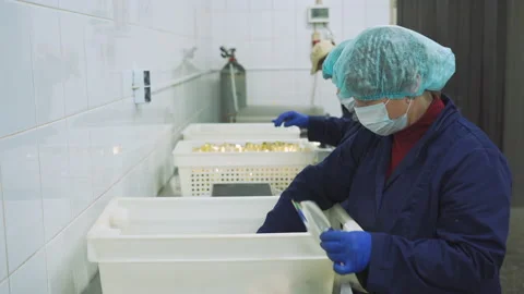 Workers pack meat snacks at a meat factory. Meat food, meat factory, working Vidéo 131856887
