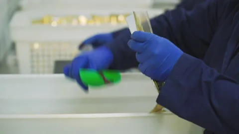 Workers pack meat snacks at a meat factory. Meat food, meat factory, working Vídeo Stock 131857152