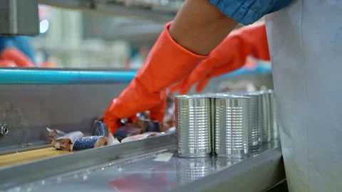 Workers packing sardines into cans, part of the process Video stock 339008265