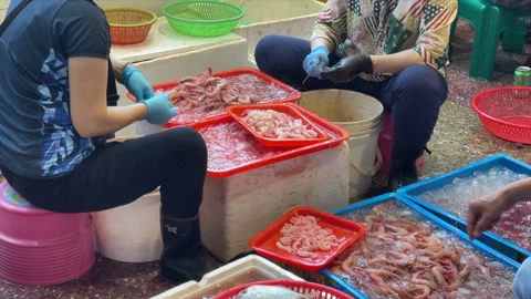 Workers Peeling And Sorting Shrimp At Nanfang-ao Fishing Harbor, Yilan, Taiwan Stock Footage 342816660
