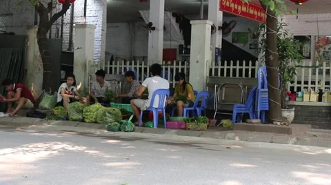 Workers picking vegetables Stock-Footage 58625927