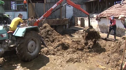 Workers piling up manure on the farm Stock Footage 56513124