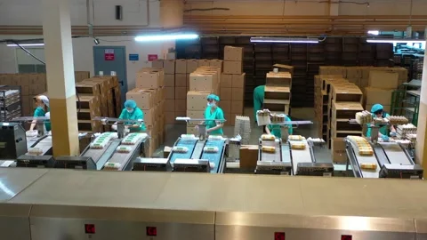 Workers at the poultry farm sort eggs Stock Footage 140879208