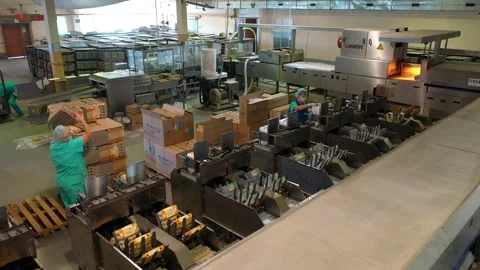 Workers at the poultry farm sort eggs Stock Footage 140879216