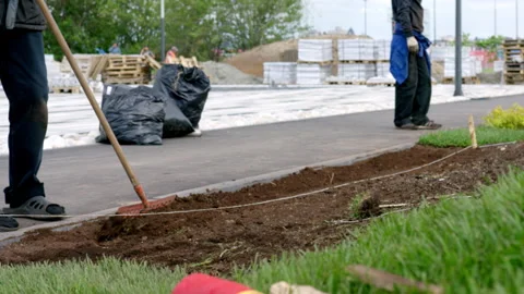 Workers prepare ground for planting grass on lawn by sidewalk Stock Footage 246054071