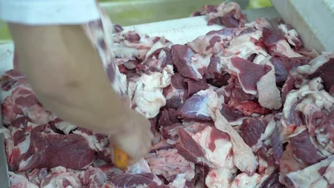 Workers prepare raw beef meat Stock Footage 77672213