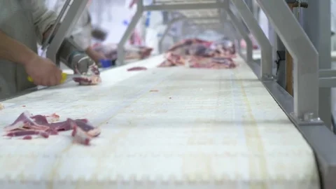 Workers prepare raw beef meat Stock Footage 77672634