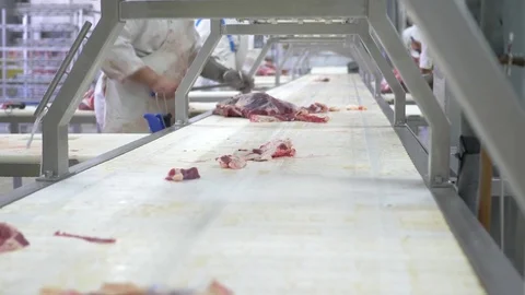 Workers prepare raw beef meat Stock Footage 77673032