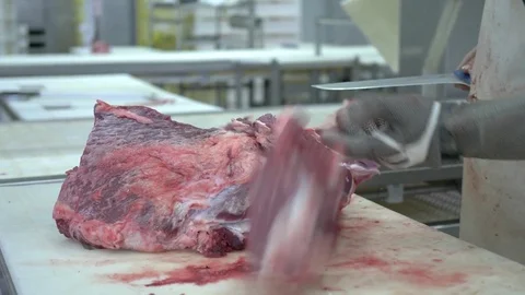 Workers prepare raw beef meat Stock Footage 77673429