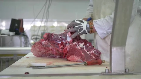Workers prepare raw beef meat Stock Footage 77673960