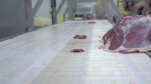 Workers prepare raw beef meat Stock Footage 77675813
