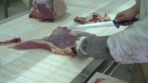 Workers prepare raw beef meat Stock Footage 77676885