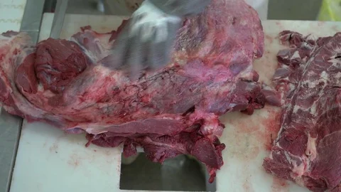 Workers prepare raw beef meat Stock Footage 77676928