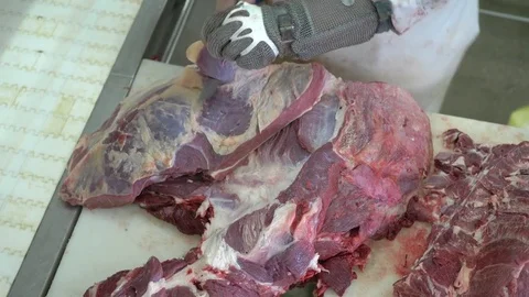 Workers prepare raw beef meat Stock Footage 77677017