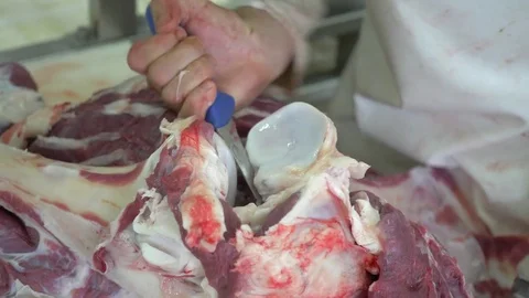Workers prepare raw beef meat Stock Footage 77678885