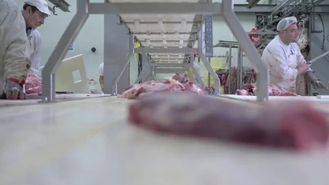 Workers prepare raw beef meat Stock Footage 77679178
