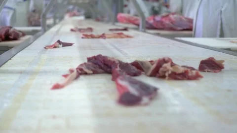 Workers prepare raw beef meat Stock Footage 77700036