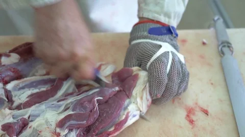 Workers prepare raw beef meat Stock Footage 77700897