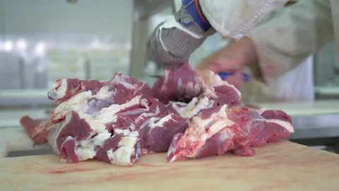 Workers prepare raw beef meat Stock Footage 77700949