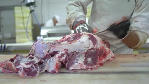 Workers prepare raw beef meat Stock Footage 77701046