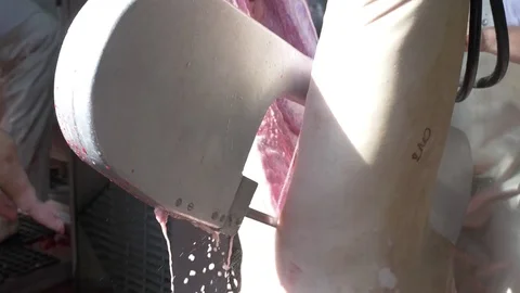 Workers prepare raw pork meat Stock Footage 77712505