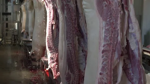 Workers prepare raw pork meat Stock Footage 77757195