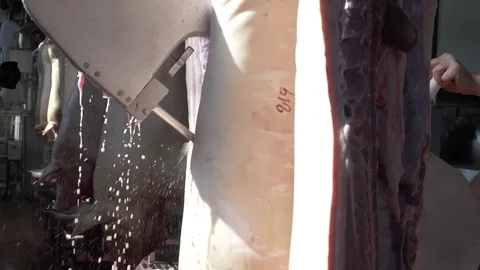 Workers prepare raw pork meat for delivery to stores Stock Footage 77908873