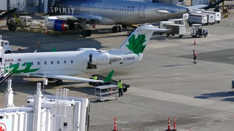 Workers prepares to off load airliner Logan Airport Boston Mass. USA Jan 9 2014 Stock Footage 283877191