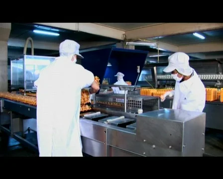 Workers Preparing Egg Cartons For Packaging Machine 스톡 동영상 509546