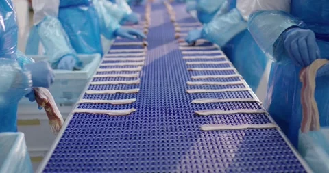 Workers in protective clothing placing bacon strips side by side on a blue Vídeo Stock 339967091