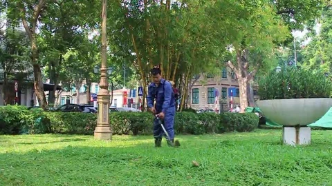 Workers pruning trees Stock Footage 69184823