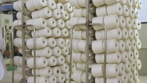 Workers Pushing Carts Of Cotton Thread In A Textiles Spinning Mill Stock Footage 246505355