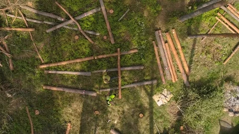 Workers pushing a huge log over self-made rails in a clearcut forest Stock Footage 91320968