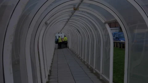 Workers pushing shopping trolleys Stock Footage 233704225