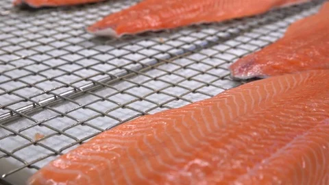 Workers put the pieces of salmon fillet on a table for salting. Close up. Stock Footage 69857009