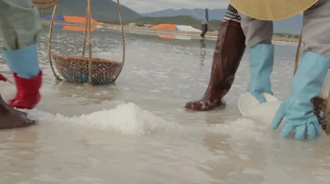Workers Quickly Scoop Salt into Baskets Stock Footage 42434839