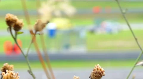 Workers at the races Video stock 42127267