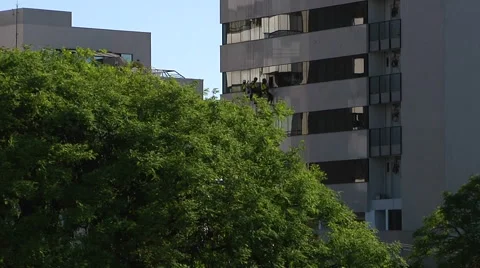Workers Rappelling And Washing Windows on Building tree suggestion shot Video stock 60649174