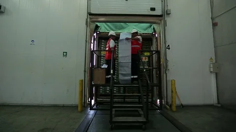 Workers reading codes Stock Footage 77053485