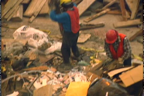 WORKERS RECYCLE WOOD Video stock 1052360