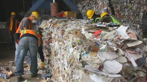WORKERS WITH RECYCLED PAPER BALES Stock Footage 6526989