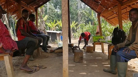 Workers resting under shelter in a forest camp Stock Footage 80562189